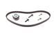 Комплект ременя ГРМ Ford Mondeo Focus 1.4 1.6i 03- Volvo C30 S40 V50 1.6 05-12 (22x117z) (Contitech CT881K3) CT881K3 фото 10