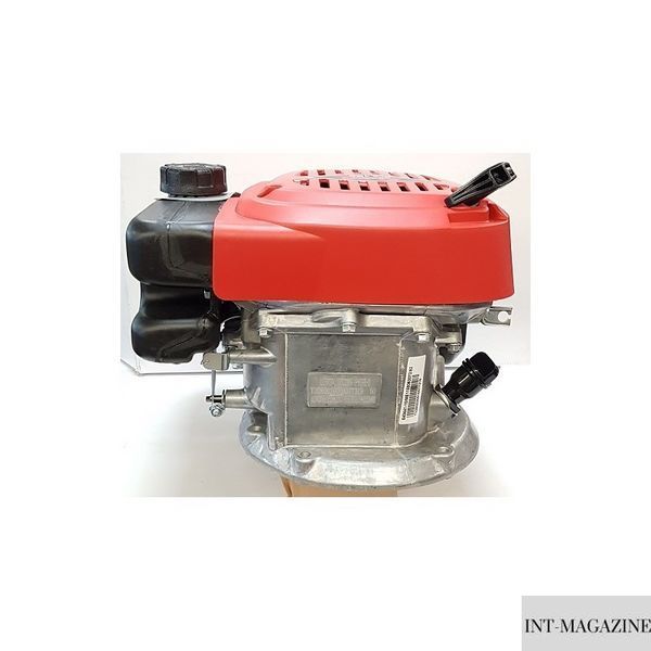 Двигатель бензиновый PRO 125 QSS LC1P65FE R3000 EU5 для газонокосилок (457877-22) 457877-22 фото