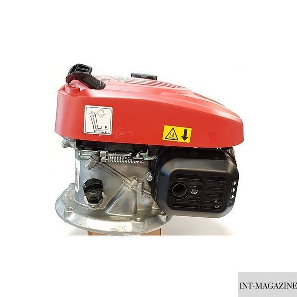 Двигатель бензиновый PRO 125 QSS LC1P65FE R3000 EU5 для газонокосилок (457877-22) 457877-22 фото