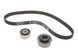 Комплект ГРМ Hyundai Sonata Tucson Elantra 1.8-2.0 88- (INA 530033010) INA 530 0330 10 фото