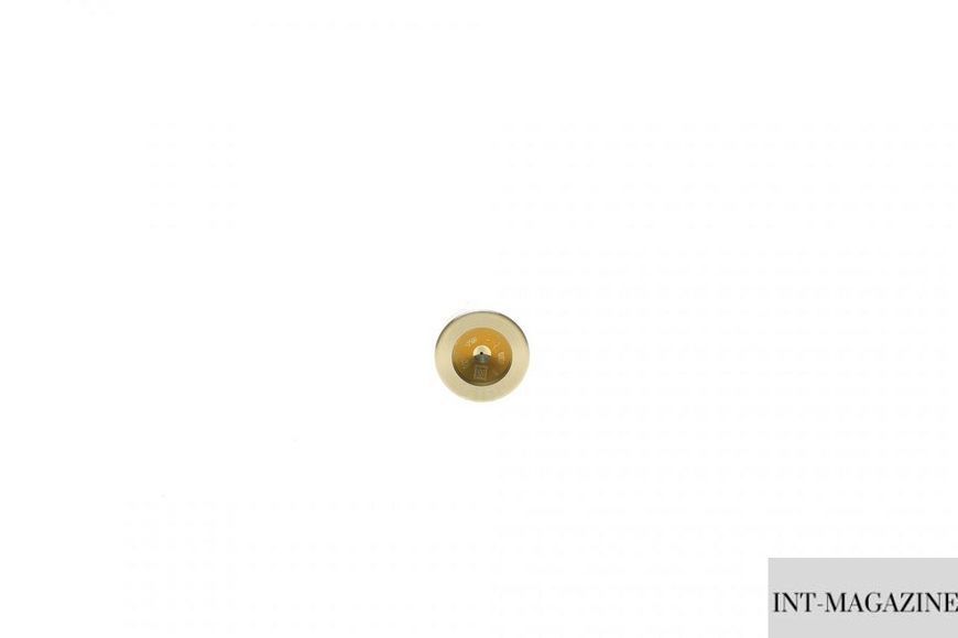 Шток форсунки паливної Fiat Brava Brovo 1.9JTD 98-01 (Bosch F00VC01005) F00VC01005 фото