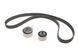 Комплект ГРМ Jeep Wrangler Cherokee 2.4 01- (INA 530064110) INA 530 0641 10 фото