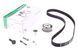 Комплект ГРМ Volkswagen Passat Audi A4 1.9 TDI 95-01 (137x25) (INA 530034310) INA 530 0343 10 фото