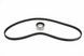 Комплект ГРМ Citroen Jumpy Peugeot Expert 1.6i 95-00 (INA 530020310) INA 530 0203 10 фото
