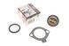 Термостат Ford Sierra 82-93 1.6-2.0 (91&deg;C) (Gates TH00391G1) TH00391G1 фото